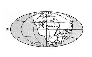 70 Figura 4.1 O continente universal Pangea (a) há 200 milhões de anos. (b) há 150 milhões de anos.