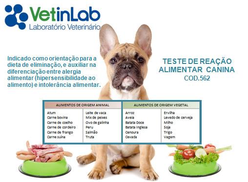 Referências: 1. Jeffers JG, Shanley KJ, Meyer EK.Diagnostic testing of dogs for food hypersensitivity. J Am Vet Med Assoc. 1991 Jan 15;198(2):245-50. https://www.ncbi.nlm.nih.gov/pubmed/2004984 2.