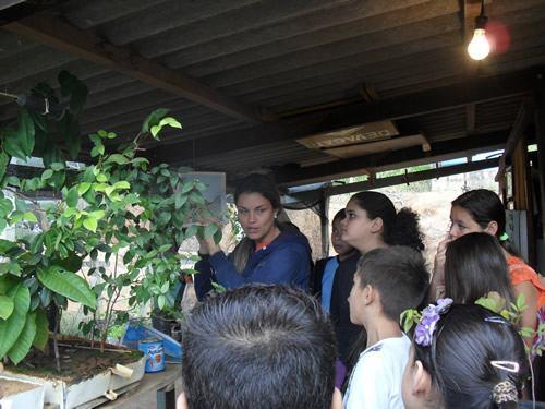 A matéria de educação ambiental foi incluída no programa do governo chamado MAIS EDUCAÇÃO