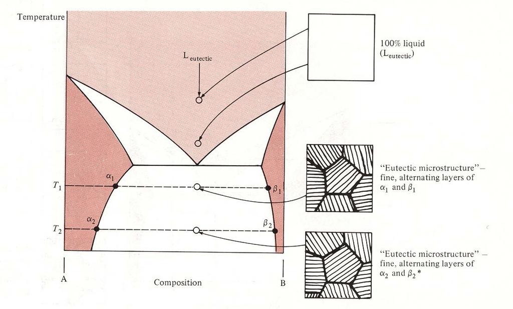 Desenvolvimento microestrutural durante o