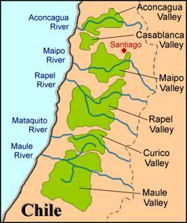 Vinhos do Chile: Regiões Região: Central Valley Sub-Região: Maipo Sub-Região: Rapel Zone: Cachapoal Zone: