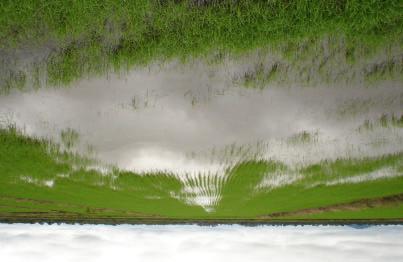 51 Figura 5 - Vista da desuniformidade da altura da lâmina de água de irrigação na cultura de arroz verificada na safra 2004/05.