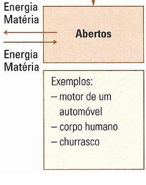 As reações químicas e a sua energia Nas