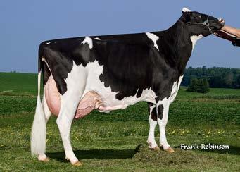 Maple-Downs-I G W Atwood TR TV TL TD EX-90 Glenn-Ann Roy Dandy EX-90 Roylane Jordan-ET TV TL EX-95 GM Regancrest Durene-ET TV 04/2018 CONFORMAÇÃO TPI +1994 04/2018 CONFORMAÇÃO TPI +1844 TIPO +4,29 CU