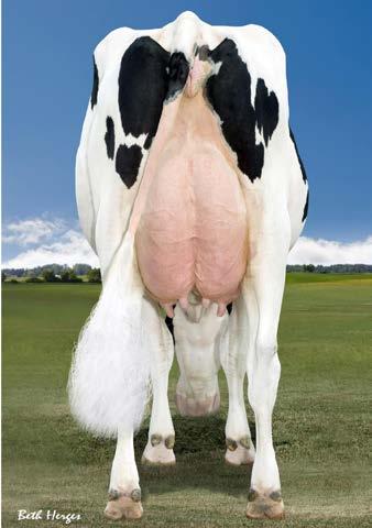 DELICIOUS REG: HO840003006989479 https://www.stgen.com/ sire-directory/dairy-cow-usa.aspx?