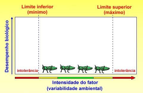 Evolução do conceito de fatores limitantes: Lei da Tolerância (Shelford, 1913) Para cada espécie, existem amplitudes de tolerância