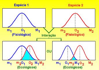 Nicho ecológico Fundamental: conjunto de tolerâncias fisiológicas Real,