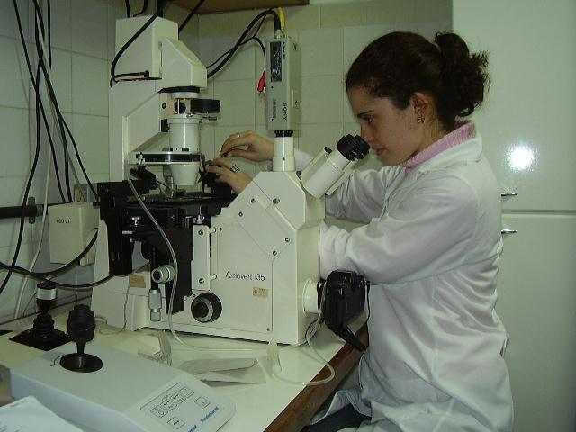 Micromanipulação de gametas e embriões
