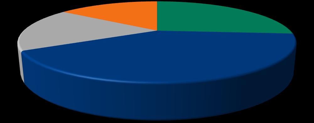 Consumo de Energia em 2012 Consumo (GWh) por Classe - Neoenergia 24% 39% 20% 17%