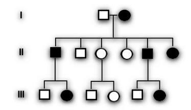 5. Padrões de Heranças Monogênicas 5.1.b) Herança Dominante Ligada ao X : características no heredograma.