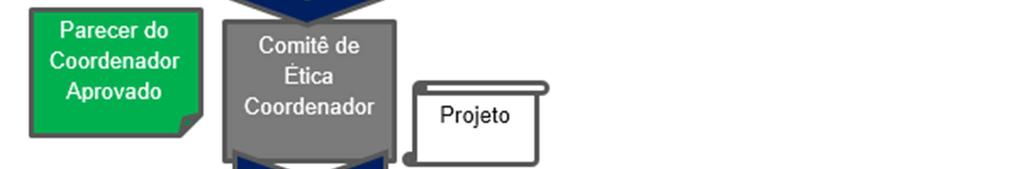 coordenador, uma cópia inalterada do projeto continuará sendo enviada diretamente para o Comitê de Ética responsável pela instituição coparticipante.