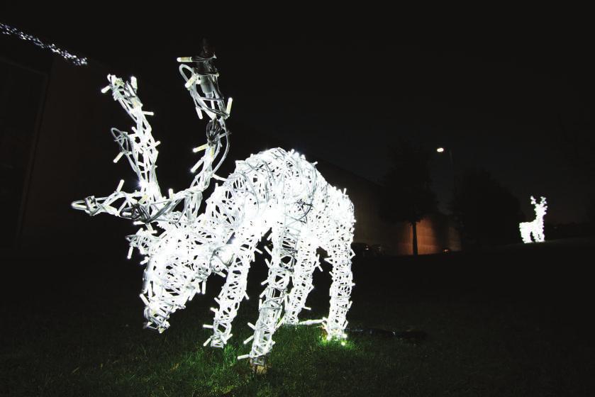 Época Natal Nesta época procuramos trazer o brilho e a luz que os dias curtos e frios pretendem afugentar.