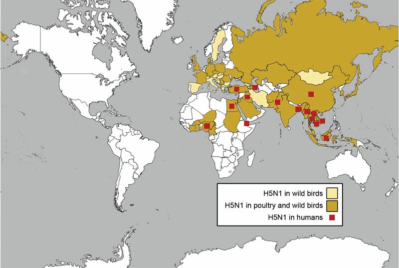 Pandemia IA H5N1 (aves e