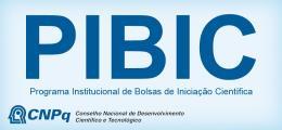 com PIBIC/CNPq 2 Orientador(a) do Curso de Relações Internacionais; Campus de Porto Nacional; e-mail:josepedro@mail.uft.edu.