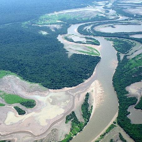 MONITORAMENTO DA COBERTURA FLORESTAL DA AMAZÔNIA BRASILEIRA