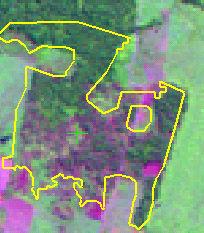 Cobertura florestal, textura heterogênea, com sombra, indicando a estrutura florestal complexa e não alterada. Floresta não alterada Tonalidade magenta, ou verde muito claro (esmaecido).