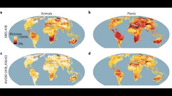 GBIF permite estudo global do impacto climático nas espécies 50 000 espécies 170 M registos Mais de metade das plantas e mais de 1/3 das espécies animais podem perder mais de metade da área