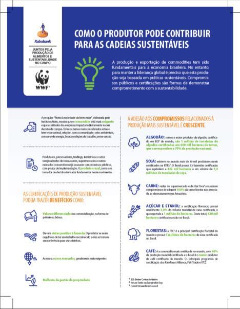 Network Infográficos