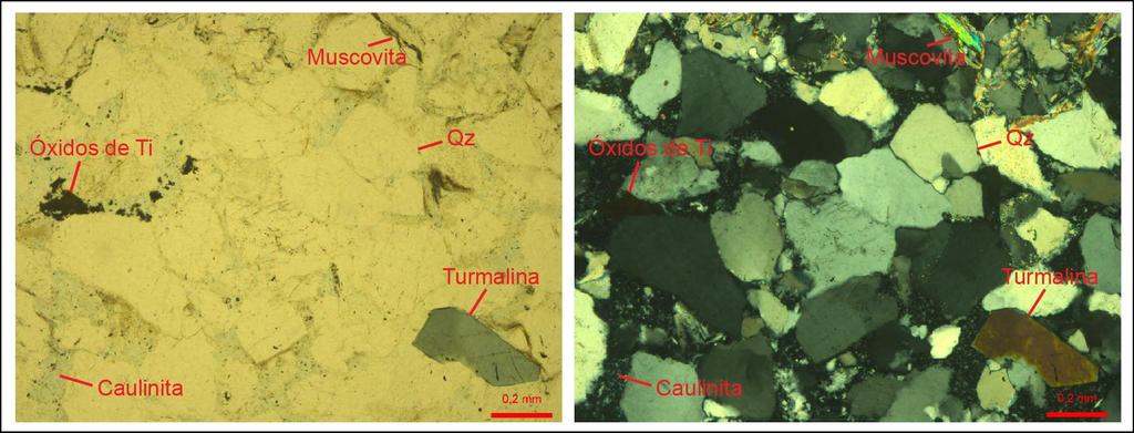 3. MATERIAIS E MÉTODOS Amostras do Arenito Furnas foram coletadas em uma cava a céu aberto (CN-01) e em um testemunho de sondagem (CN-02).
