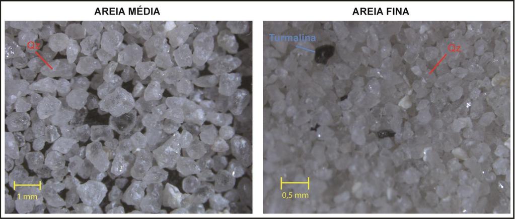 Figura 5. Curva granulométrica cumulativa da granulometria (φ) da amostra desagregada.