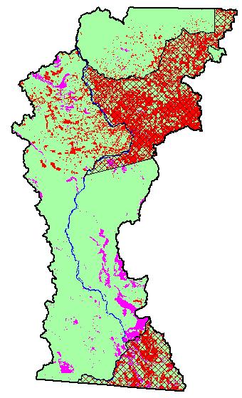 Desflorestamento São Felix do Xingu