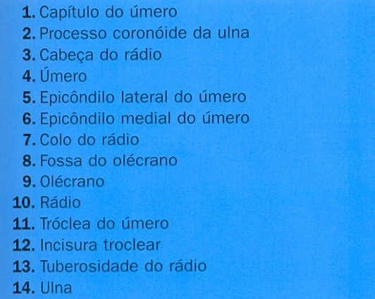 Cotovelo Cotovelo Inspeção Dr.