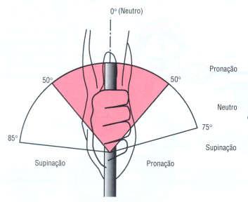 Cotovelo pronossupinação: ângulo funcional