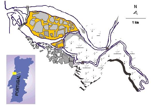 Figura 1: Estuário do rio Mondego: localização, pontos de amostragem (A, B, C), vista aérea e estado trófico do braço sul A B C Braço norte Oceano Atlântico Ponte da Gala Rio Mondego Braço sul Rio