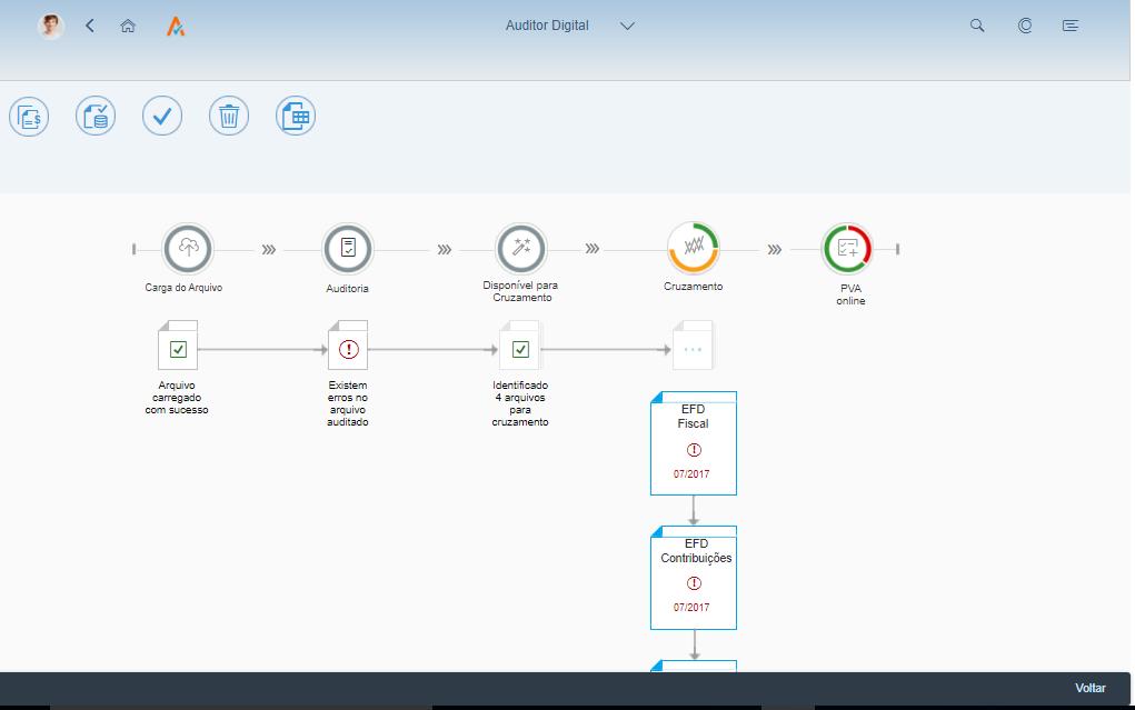 APP AVALARA AUDITOR