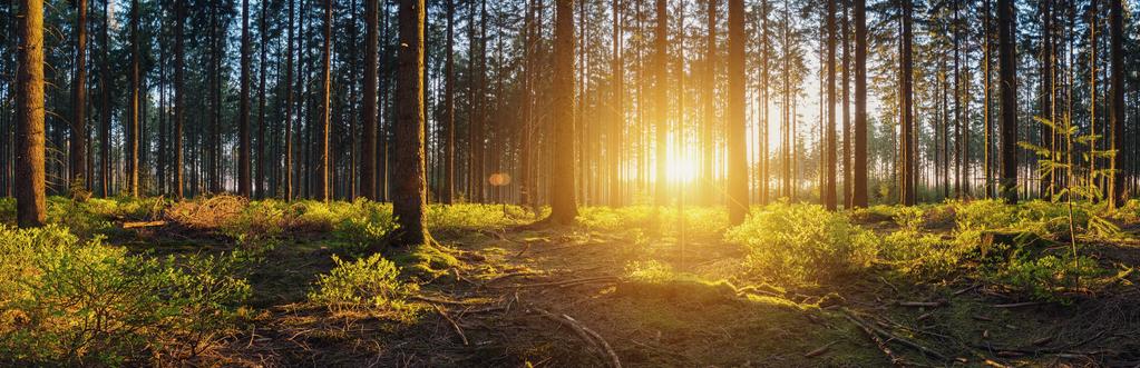 3 TECNOLOGIAS DE BAIXO CARBONO RECUPERAÇÃO DE