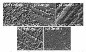 Figura 3 DRX deposição de zinco com diferentes concentrações de gelatina, 1g, 2g, 3 e 4g. 3.3.4 Microscopia eletrônica de varredura (MEV) A micrografias reportadas na Figura 5, indicam que a composição dos banhos de deposição analisados afeta a morfologia do depósito de Zn obtido.