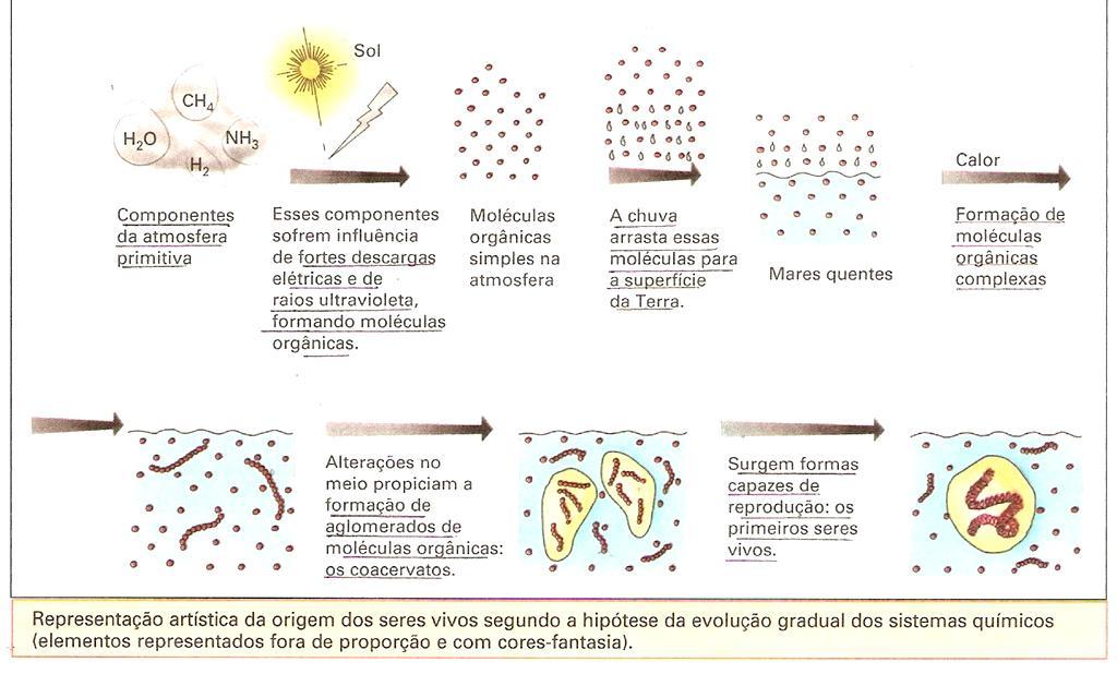 TEORIA DE