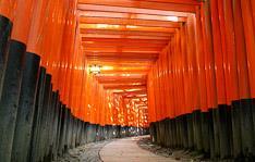 Em Nara, passeio conhecer o famoso parque e seus cervos sagrados, o Templo Todaiji com seu Buda Gigante e o Santuário Kasuga Taisha; em Quioto, visita incluindo o Santuário Fushimi Inari com túnel de