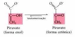A enzima piruvato quinase requer K + e ou Mg 2+ ou Mn 2+ como promotores catalíticos. IMPORTANTE!