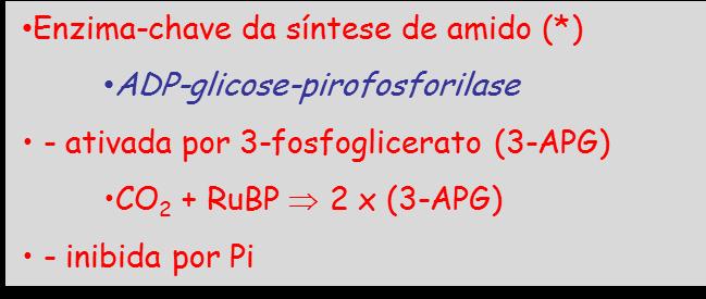 * Pi Relação (3-APG/Pi) elevada: predomina durante o dia síntese