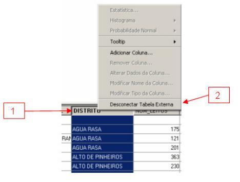 DesconectandoTabela Externa 1. Selecione na Área de grade uma coluna da tabela externa; 2.