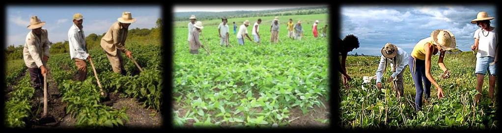 TRABALHO AGROPECUÁRIO É A OCUPAÇÃO MAIS COMUM ENTRE OS CASOS DE OFIDISMO OCUPACIONAL Tabela 3. Proporção de casos de ofidismo ocupacional na agropecuária, segundo a região.