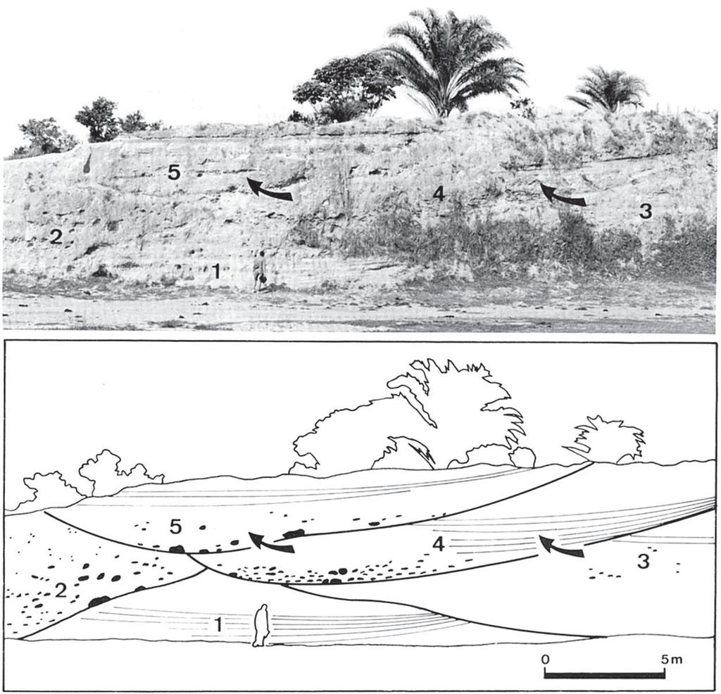 Figure 10 Channel levee model of Bruhn and Moraes (1989) for the same outcrop 2a of figure 8. The facies previously interpreted as levees are actually tidal deposits.