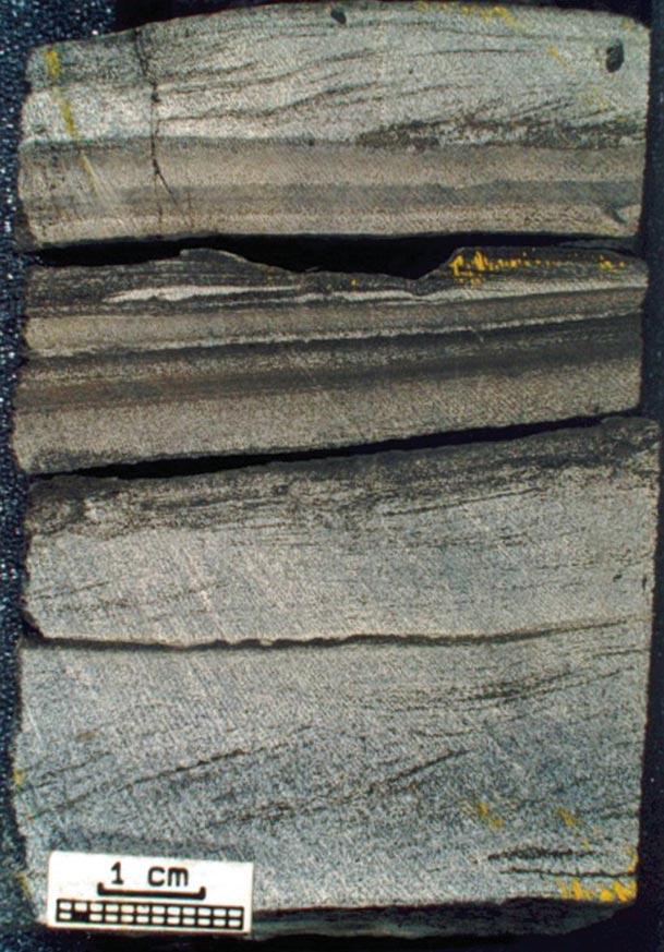 Figura 25 - Fácies trativas comuns nos depósitos hiperpicnais de alta energia do Canyon de Almada. Figure 25 - Common tractive facies from highenergy hyperpicnal deposits of the Almada Canyon.