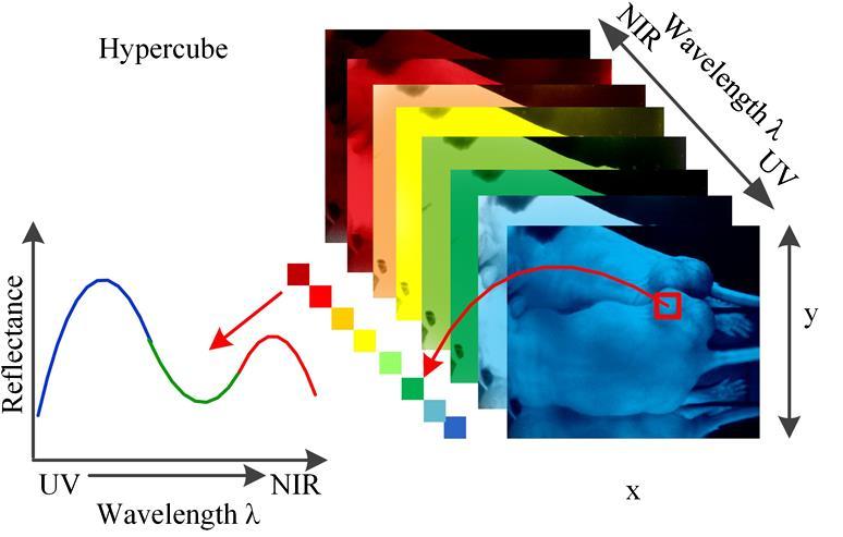 Multiespectral