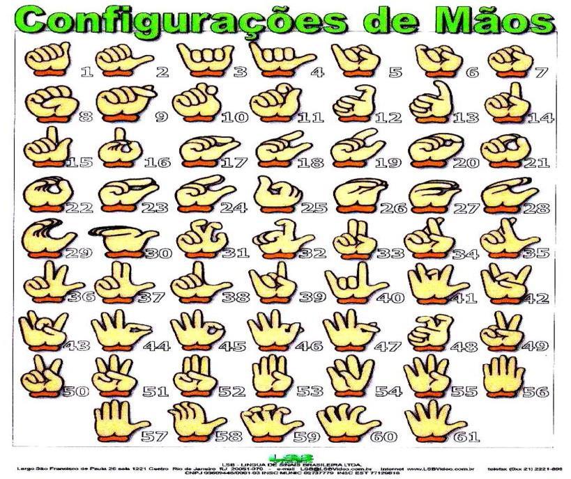desenvolveu uma proposta de ordenação de configurações de mãos, como também, Castro 6 (2011) que registrou 61 CMs.
