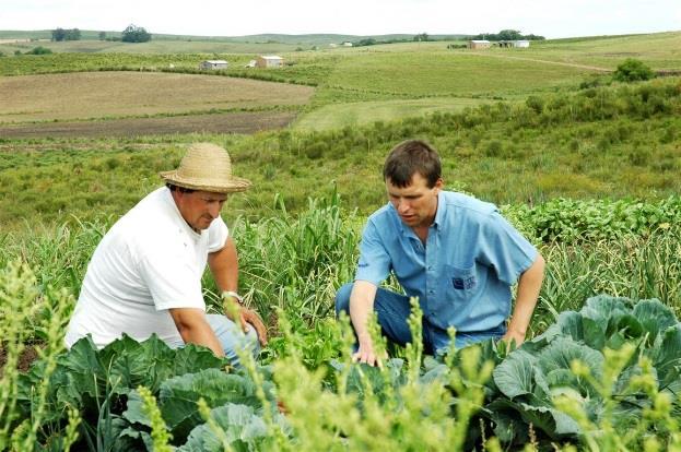 Rural e Seguro Agrícola