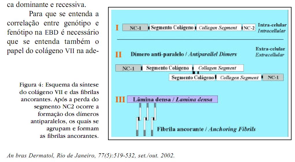 EBD Herança