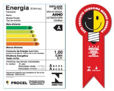 Preocupado com as projeções que apontavam um grande crescimento do consumo de energia elétrica na região sudeste e o possível