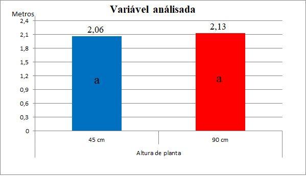 Com relação à altura de plantas observou-se valores de 2,06 e 2,13 m, respectivamente (Figura 2), porém sem diferirem estatisticamente entre si.