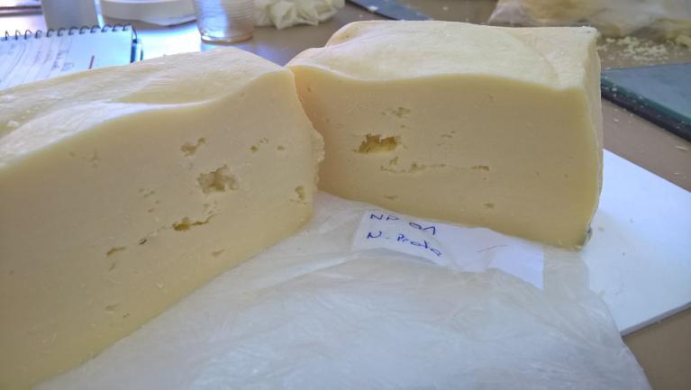 Figura 6: O queijo apresenta:
