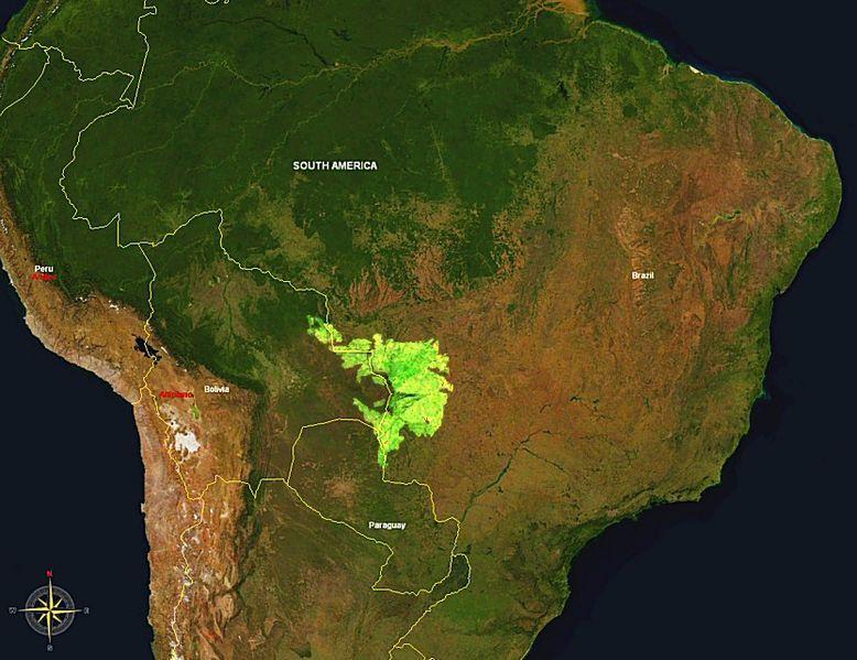 Bioma Pantanal A origem do Pantanal é resultado da separação do oceano há milhões de anos.