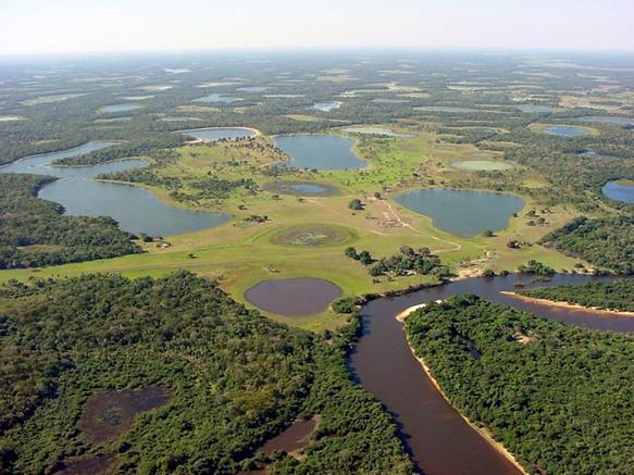 Bioma Pantanal Considerado pela UNESCO Patrimônio Natural Mundial e Reserva da