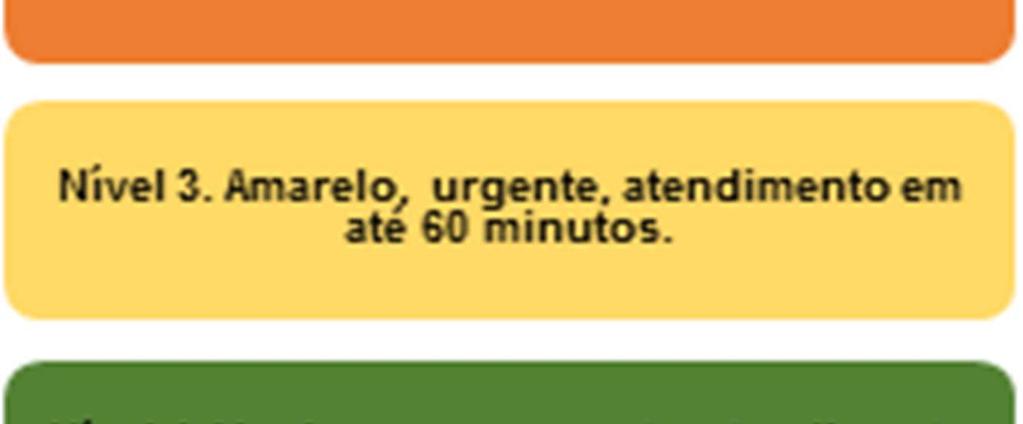 neurológico, assim como utilizar escalas específicas, para detectar o quadro de AVE e direcionar os cuidados.