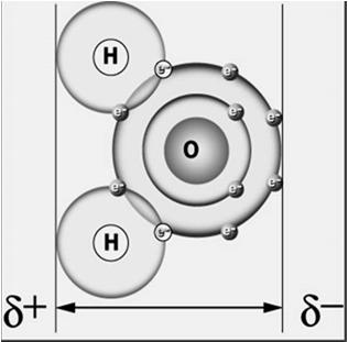 PROPRIEDADES DA ÁGUA - Composição e Estrutura da Água PROPRIEDADES DA ÁGUA - As cargas positivas e negativas da molécula de